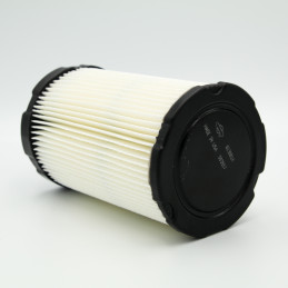 D01/AIR-FILTER (5 X 594201)