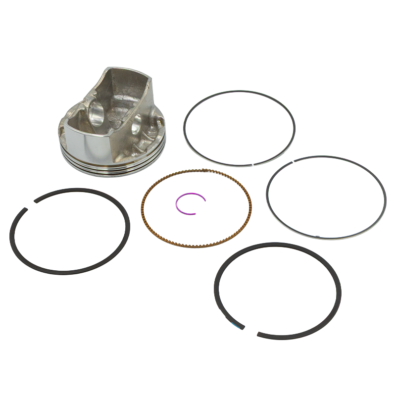 D02/PISTON ASSEMBLY/tłok